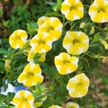 IMGP0169