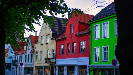 IMGP3906