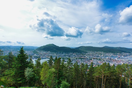 IMGP2327 (1)