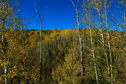 IMGP3069