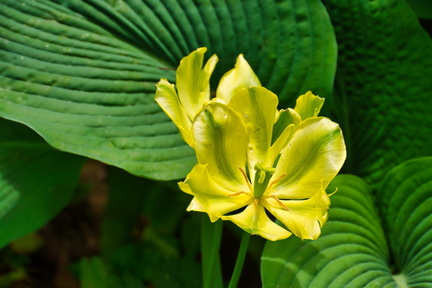 IMGP7864 