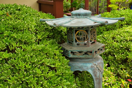 IMGP7917